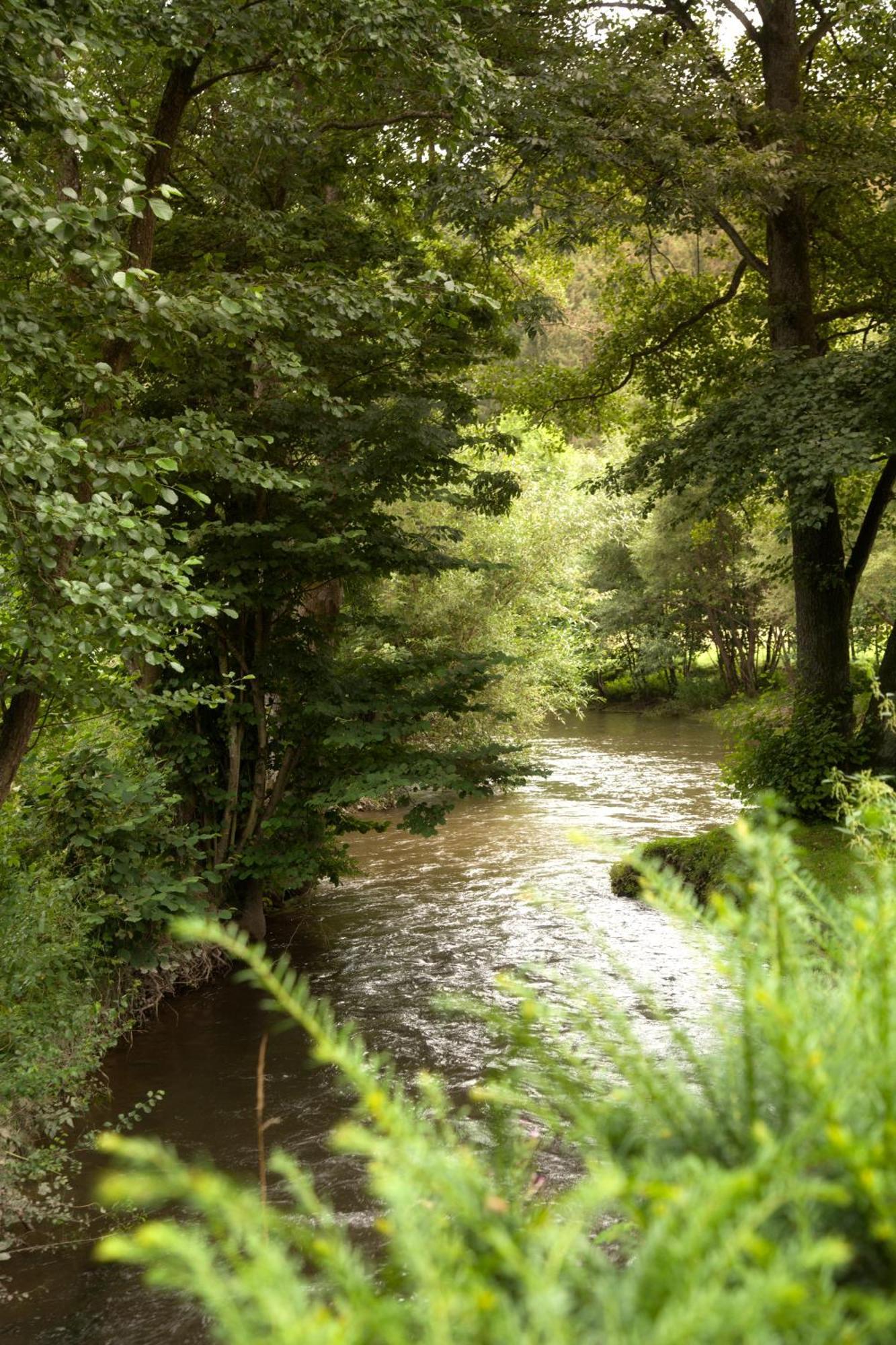 Zur Alten Mühle Lützkampen Exterior foto